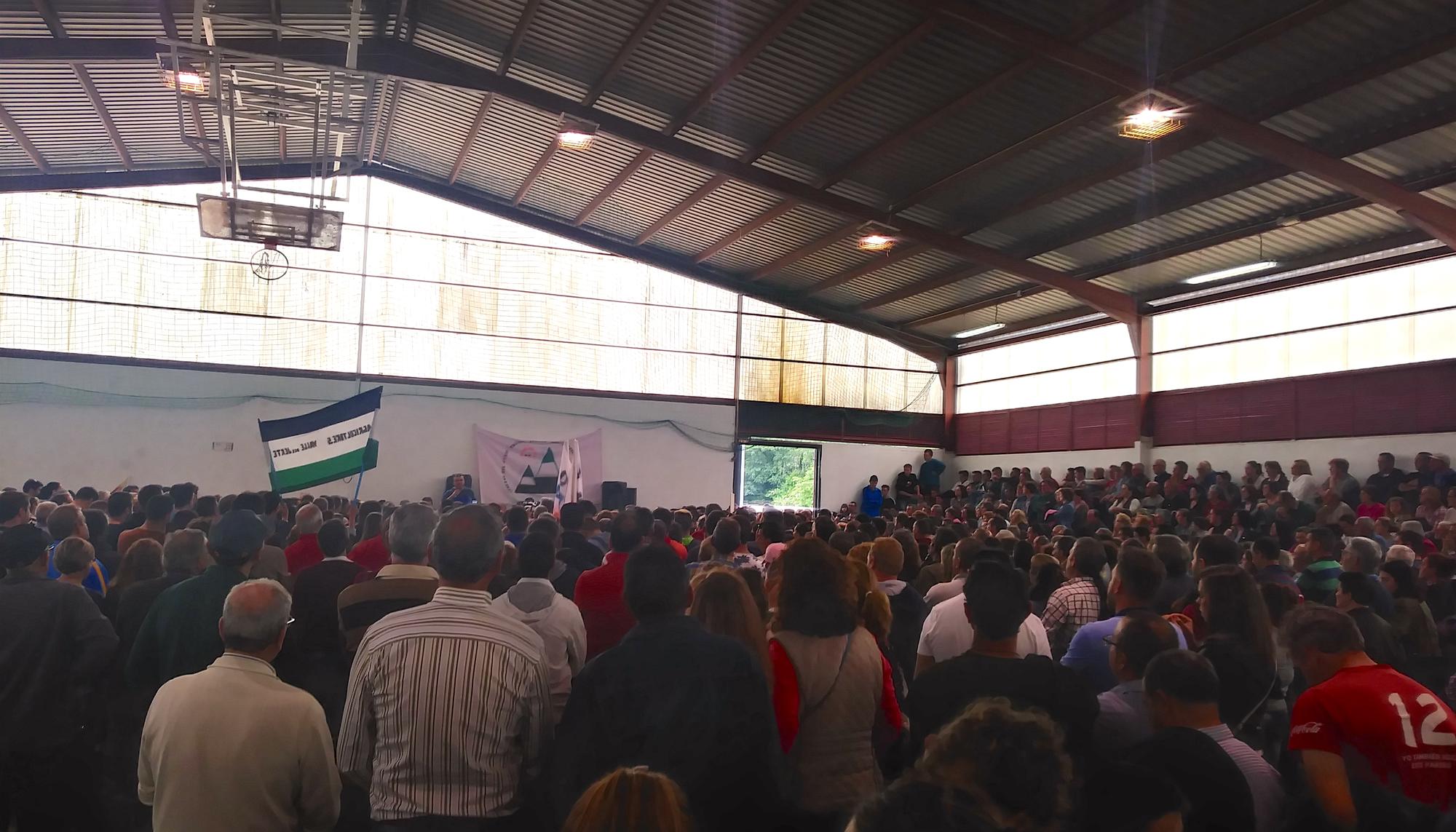 Asamblea cerezas